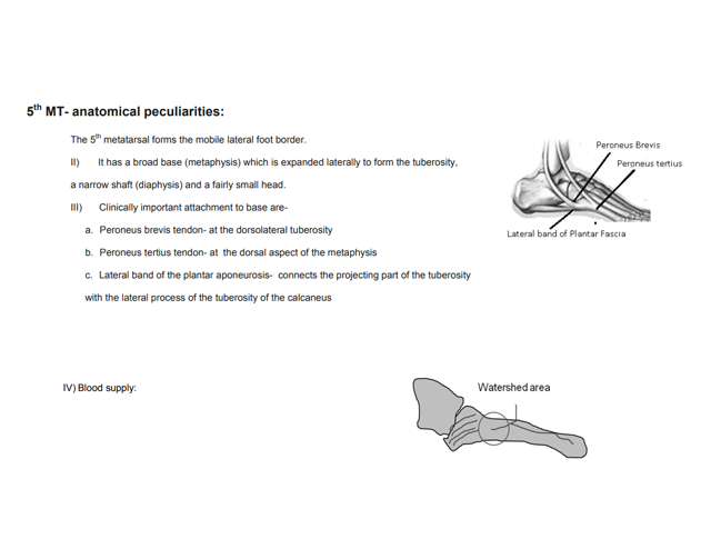 5th Metatarsal Fractures : Changing Concepts